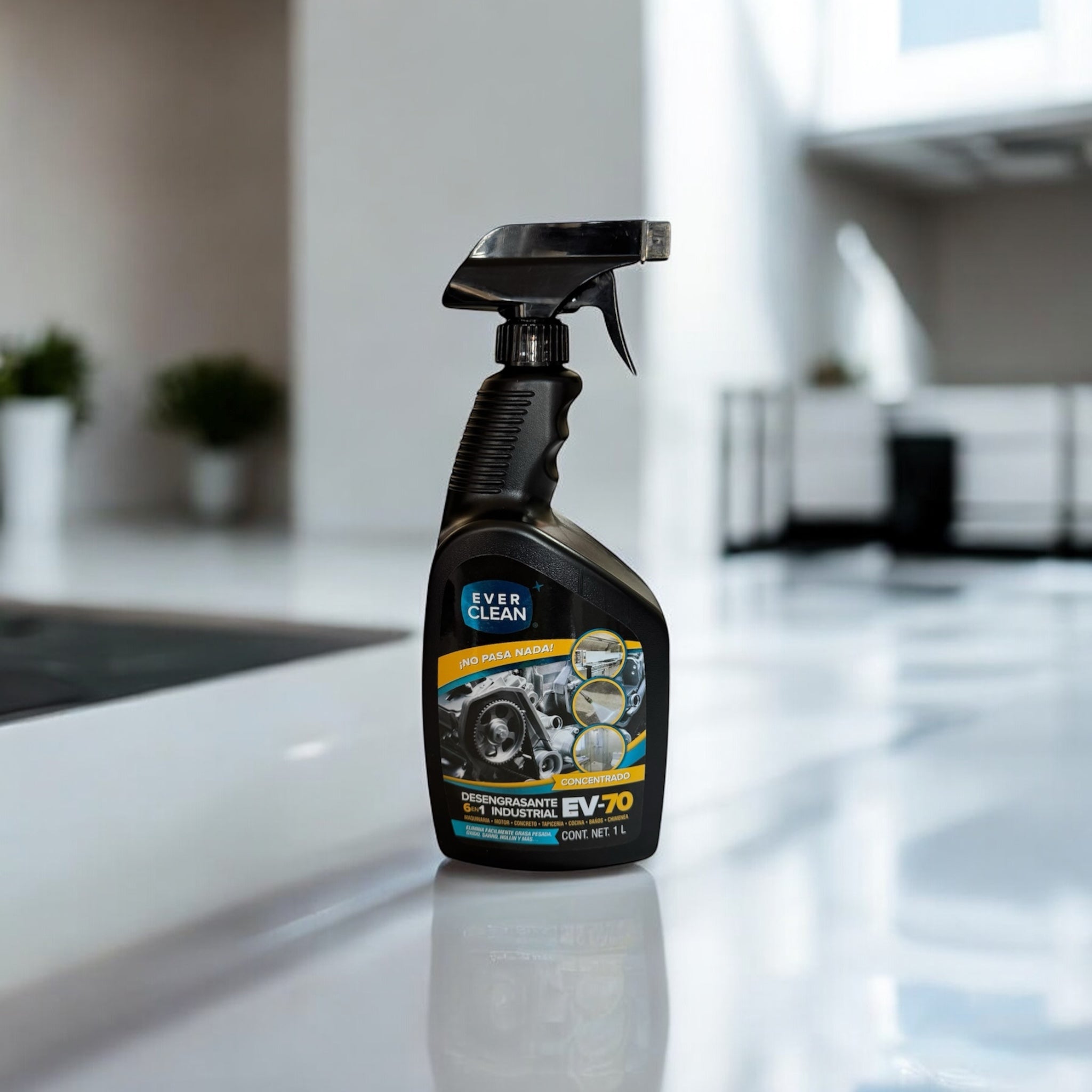 Desengrasante EV-70 (1 Lt)