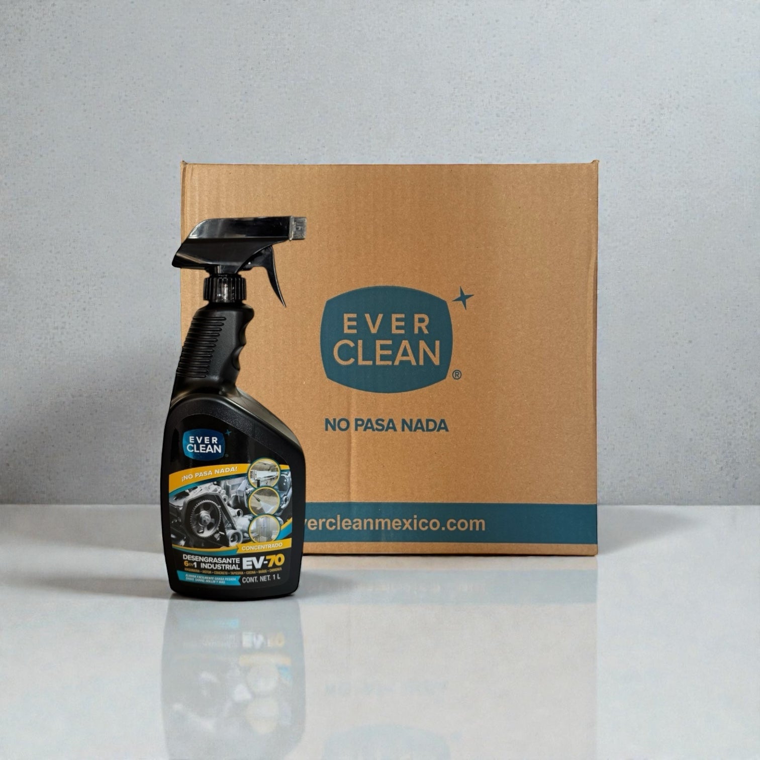 Caja de Desengrasante EV-70 (12 Piezas)